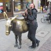 torun 40